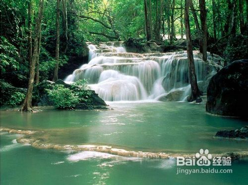 五一张家界旅游攻略