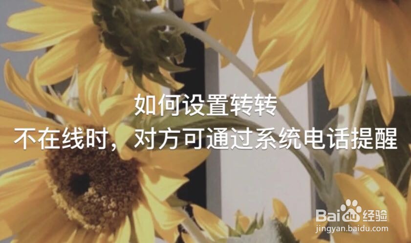 如何设置转转不在线时，对方可通过系统电话提醒