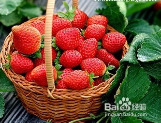 吃货们春季清热去火的五种食物你知道吗