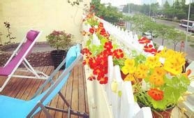大学生青岛3日行