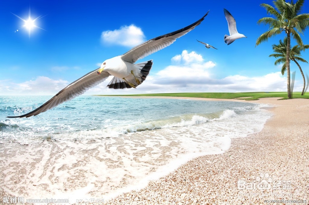 高中化学尖子生提升攻略方法---2.3