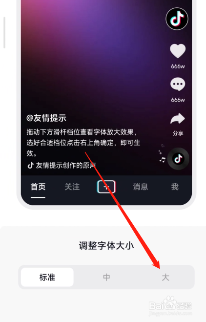 抖音极速版设置大字体