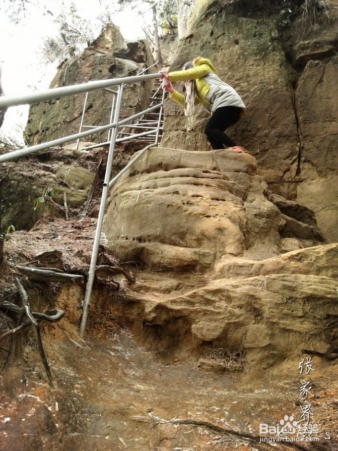 2016张家界旅游攻略实用攻略+费用+小贴士+游记