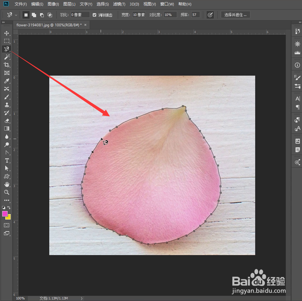 PS怎样制作花瓣画笔预设批量画花瓣