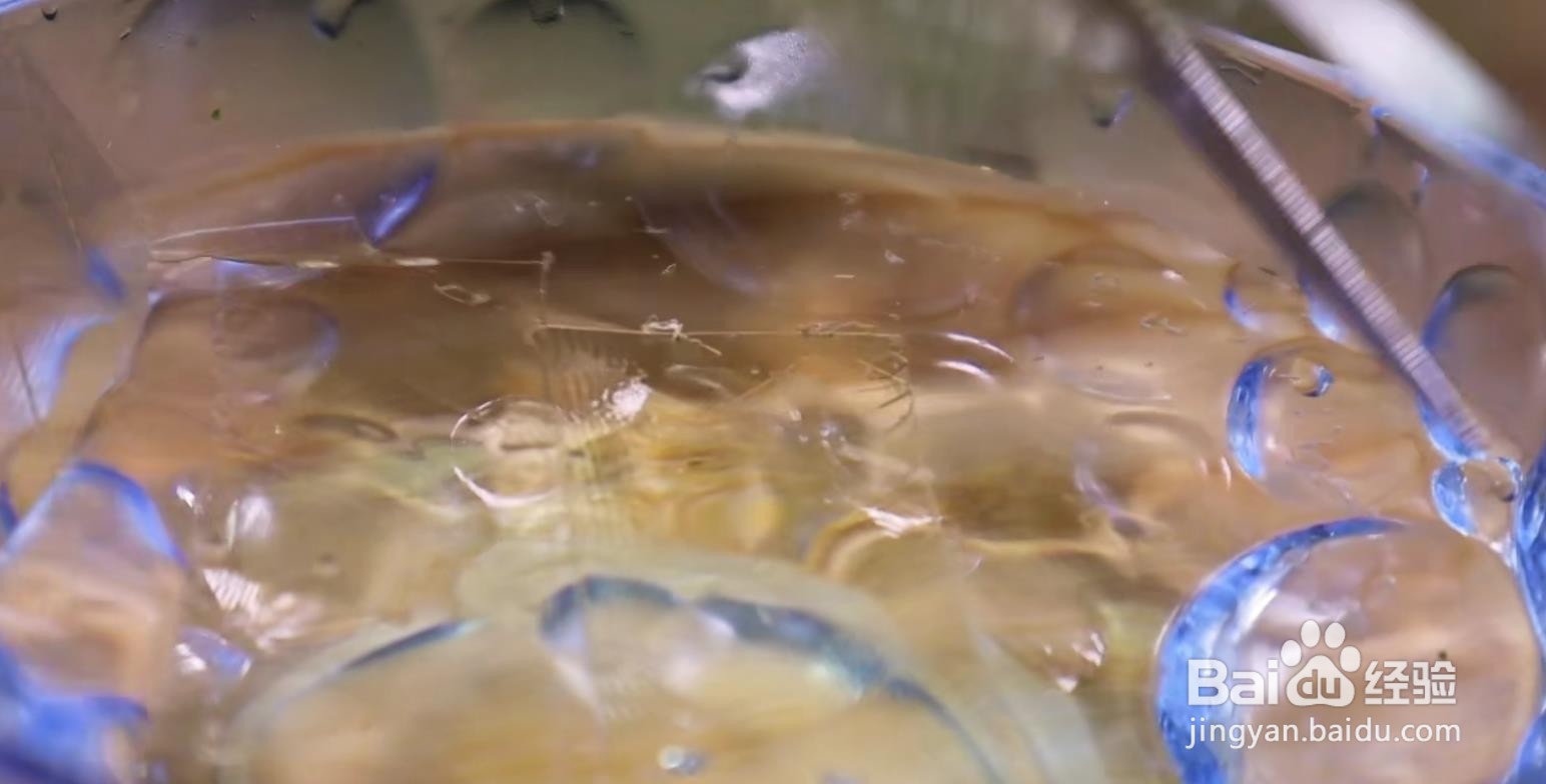 怎样做椰奶芒果布丁