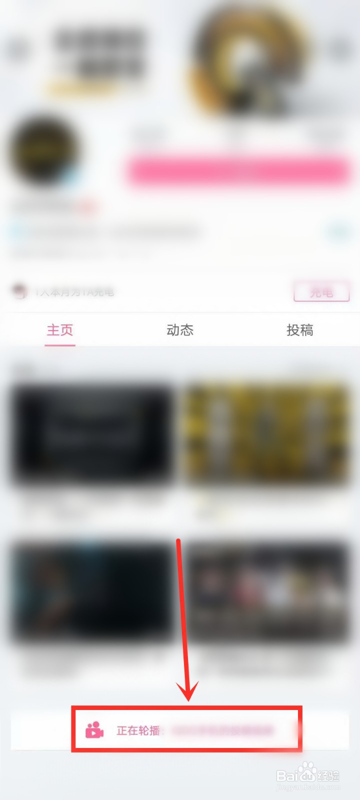 iqoo8发布会在哪里看