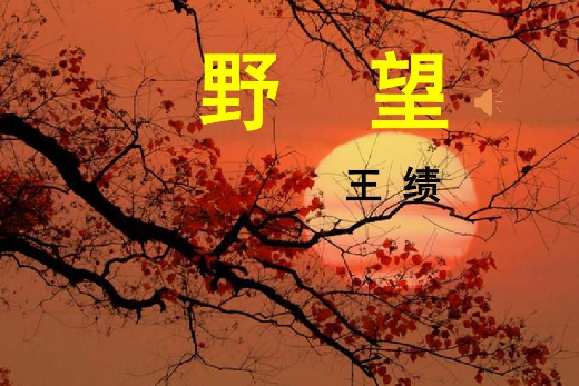 古诗 野望 拼音和注释