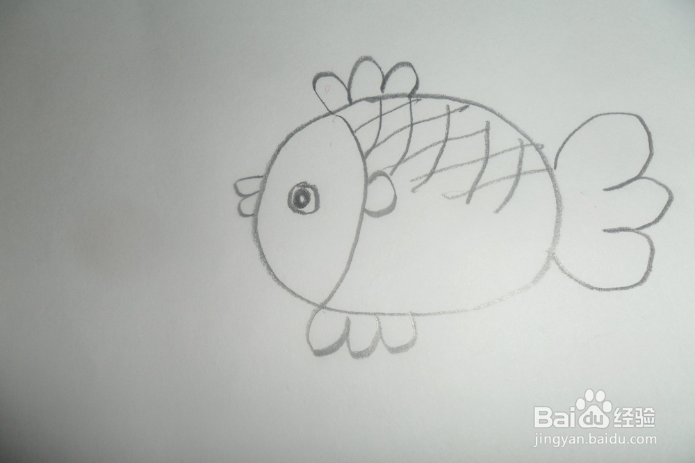 简笔画小鱼儿