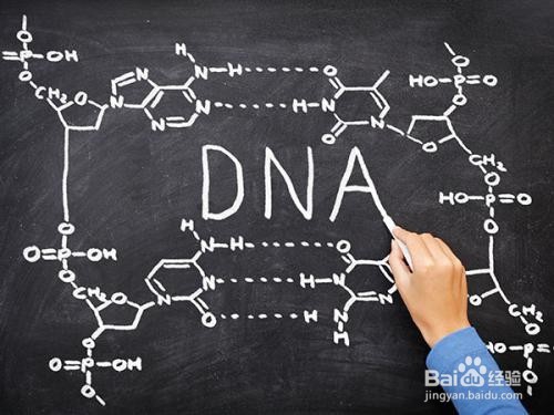 糖尿病钟爱哪几种人？