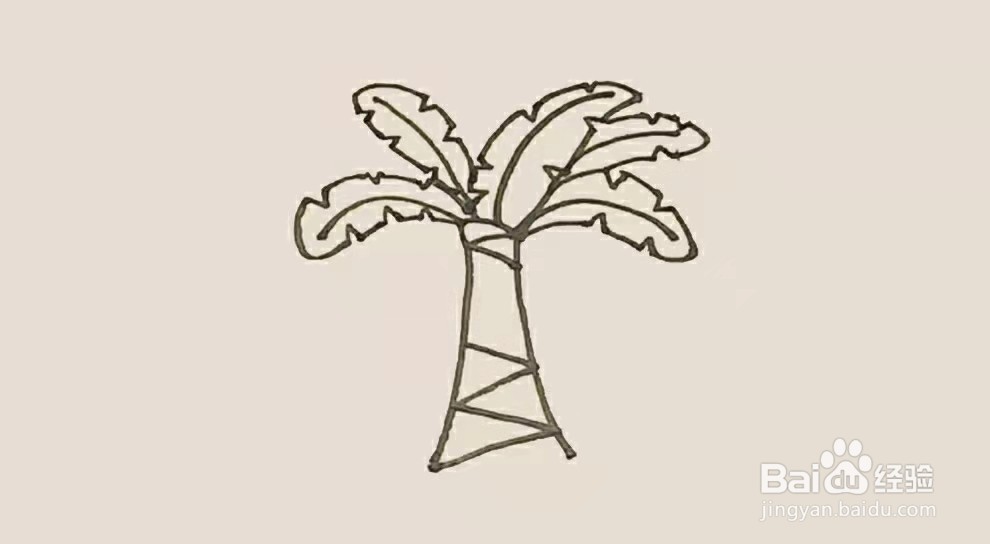 怎么画芭蕉树