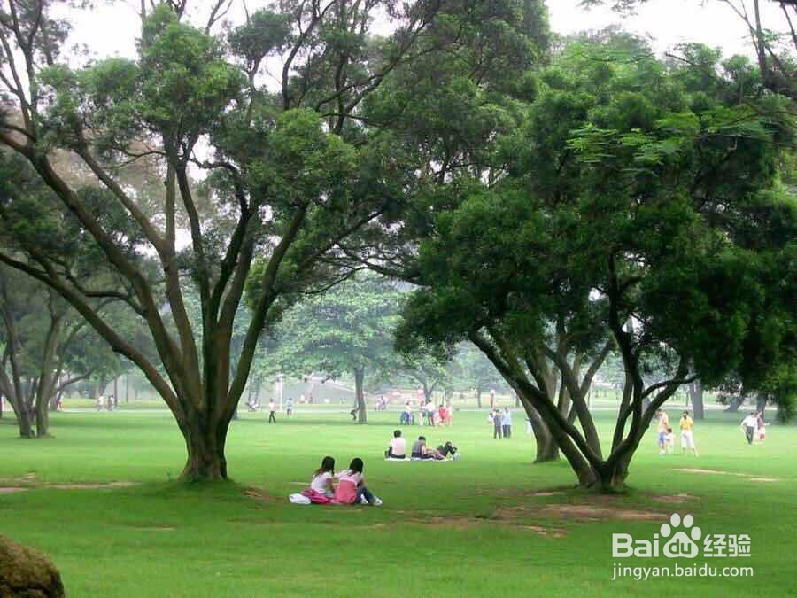 在中国，值得一去的地方都有哪些？