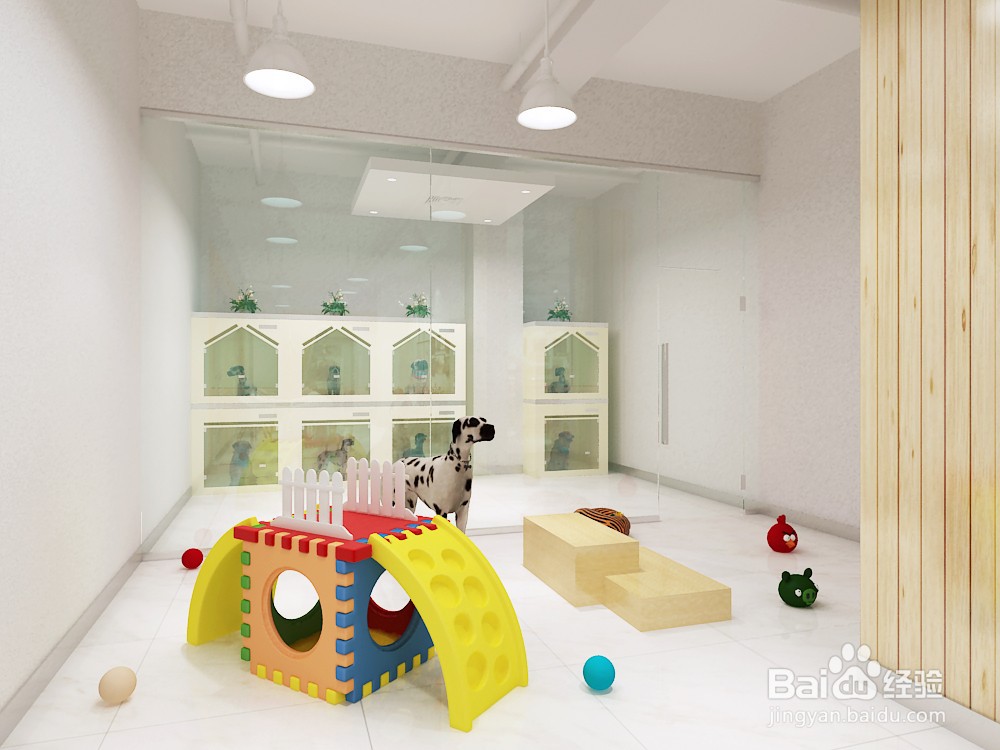 开个宠物店需要多少钱 ?