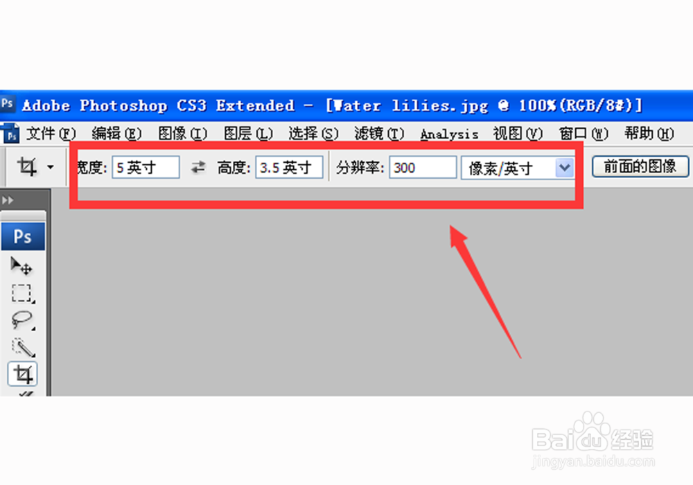 如何用photoshop裁剪成五寸照片