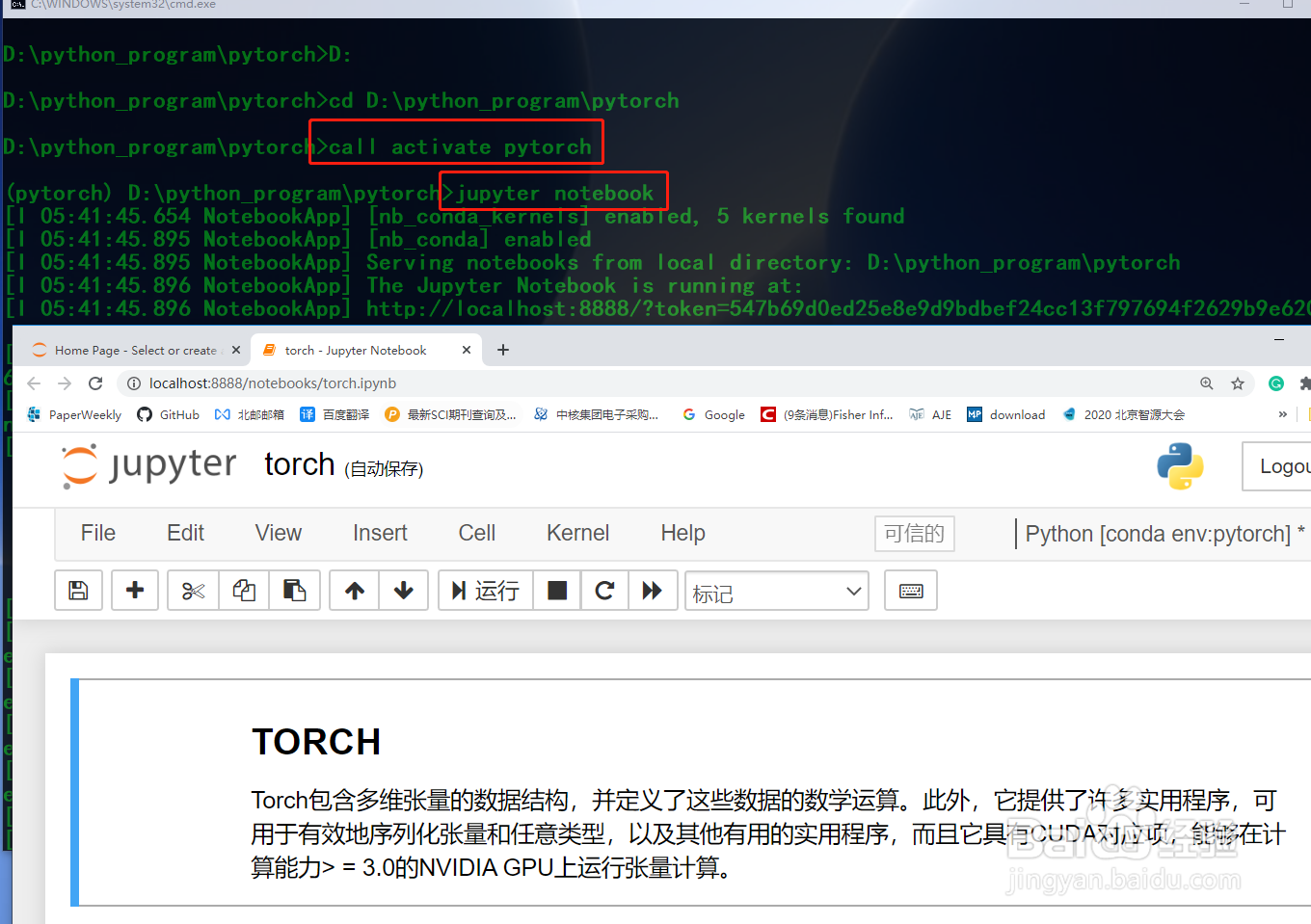 怎样用pytorch训练神经网络