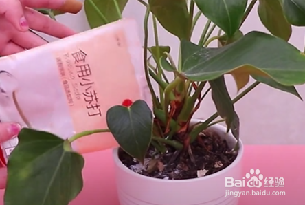 白糖加上小苏打都有哪些妙用