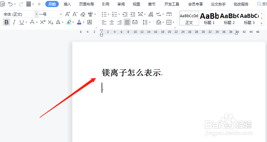 镁离子怎么表示