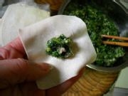 四川荠菜鲜肉馄饨