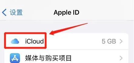 苹果手机在哪关掉共享相簿