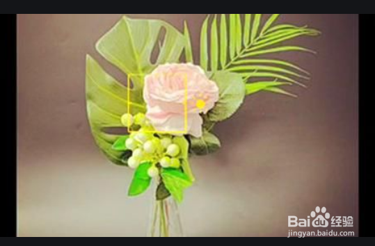 短视频策划应该注意哪些事项?