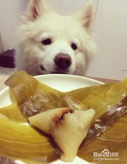 狗狗吃了粽子怎么办