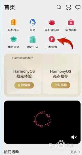 华为鸿蒙系统怎么升级