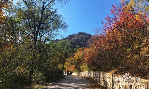 鷲峰國家森林公園攻略