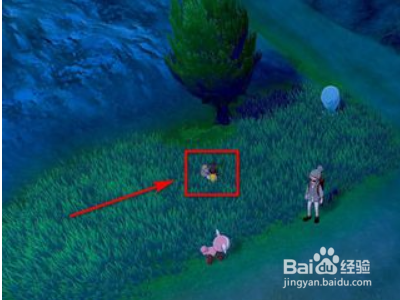 大葱鸭怎么进化