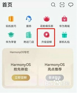 华为matePadpor升级鸿蒙系统