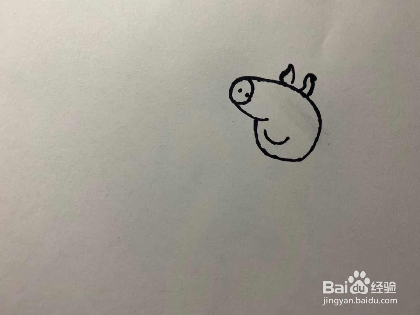 小猪佩奇简笔画