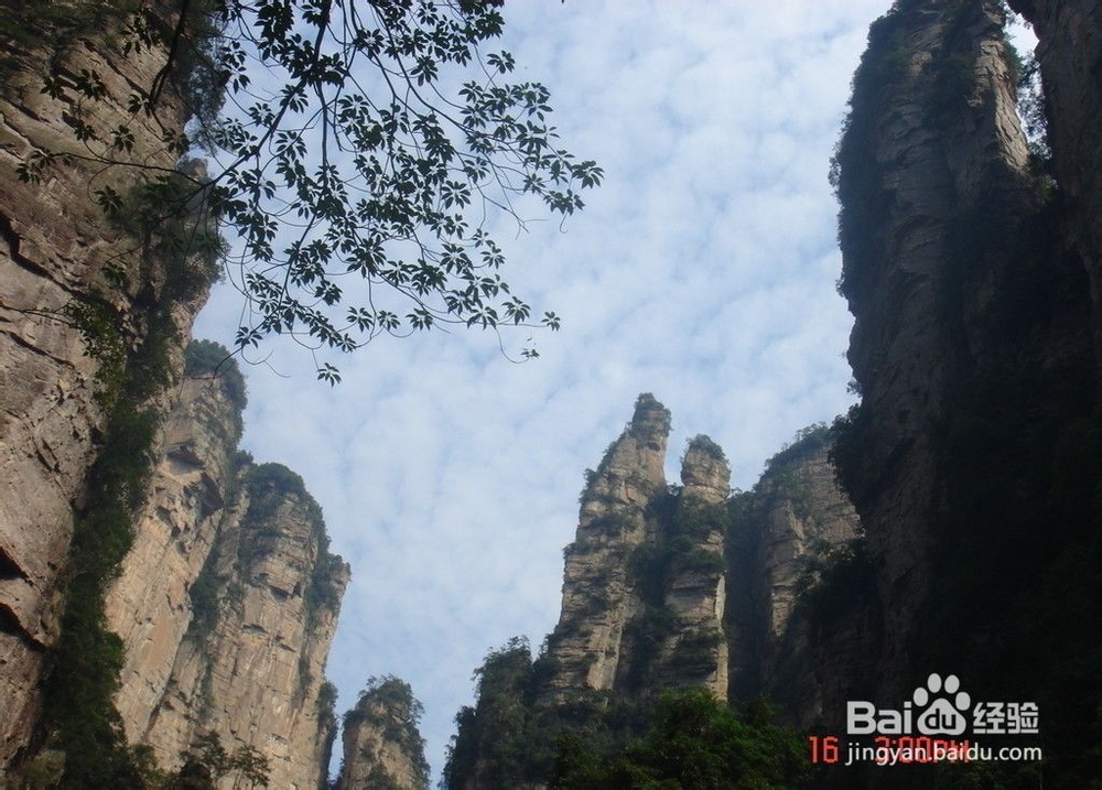 上海到张家界旅游攻略