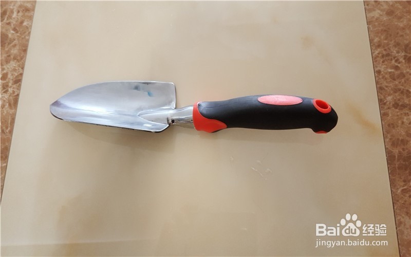 我为什么爱养花