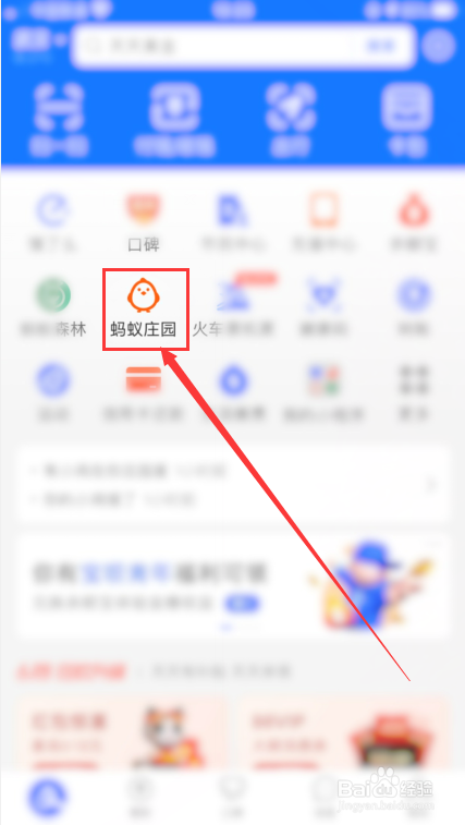 蚂蚁庄园怎么修改小鸡的名字