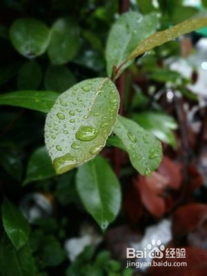 努比亚z17mini拍照方法