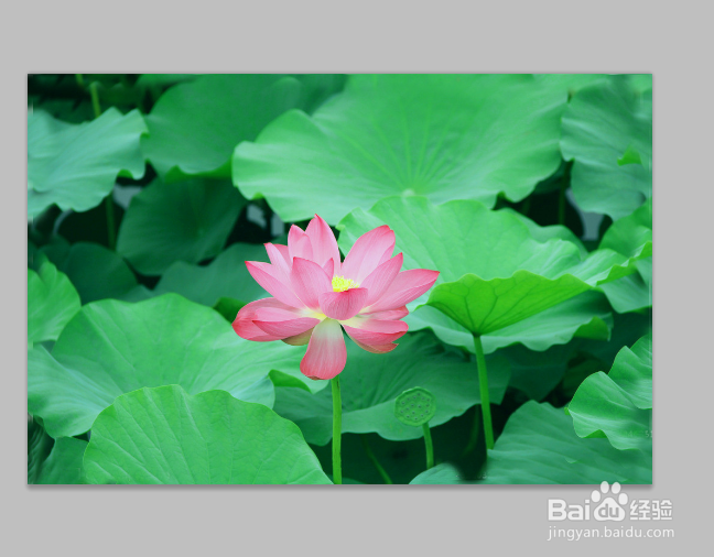 Ps如何轻松去水印