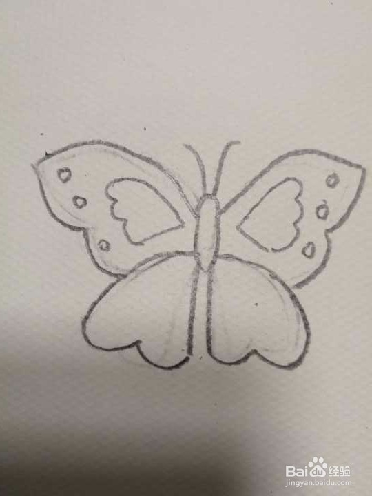 简笔画彩色的蝴蝶怎么画