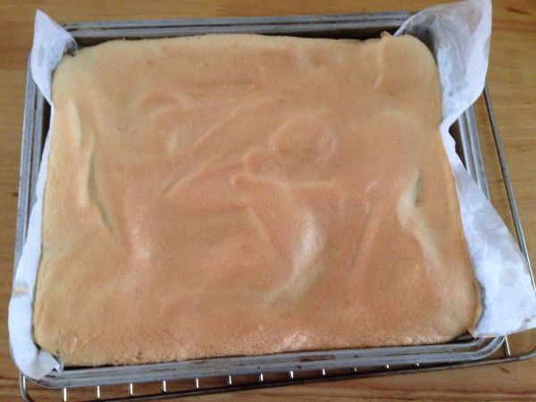 彩珠戚风蛋糕卷