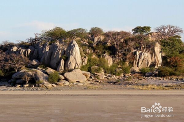库布岛,在荒凉的世界上有绿色的饰物