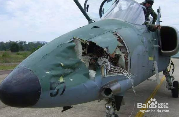 飞机如何防止被鸟撞击