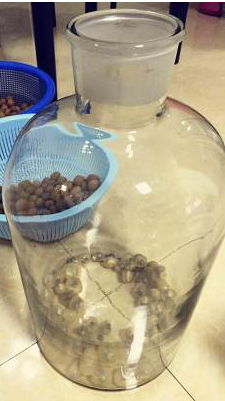 新鲜桂圆泡酒的做法