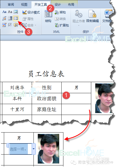 给Word表格设置下拉菜单