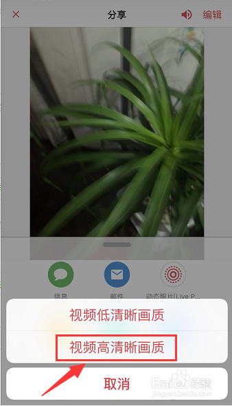 苹果live怎么发给别人