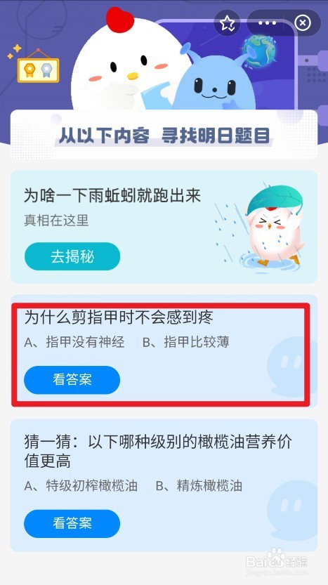 小鸡宝宝考考你为什么剪指甲时不会感到疼