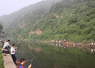怎样能够钓到鱼