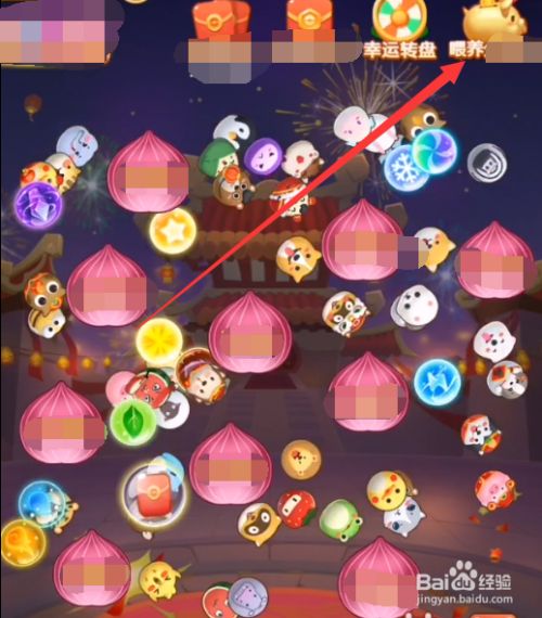 阿伟弹力球怎么玩