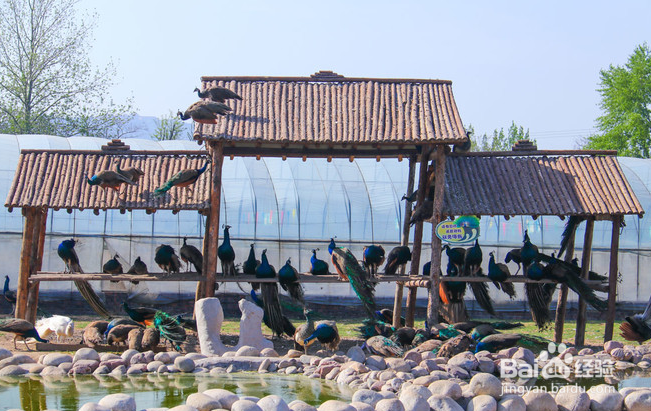 司徒小镇 2日游怎么安排