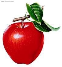 五种食物可以疏通血管