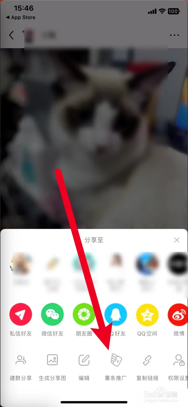 小红书怎么推广