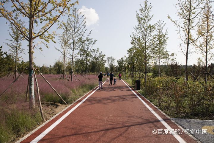 邢台市有什么好玩的景点