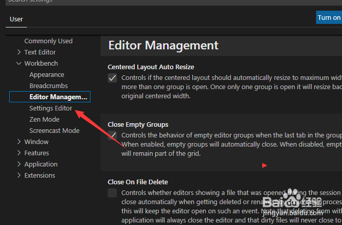 Visual Studio Code怎么设置使用拆分json