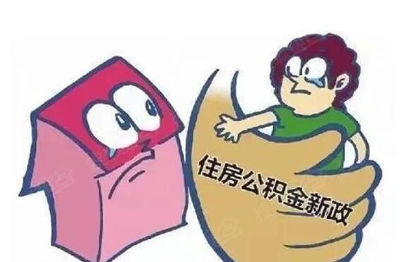 补充公积金与公积金的区别是什么